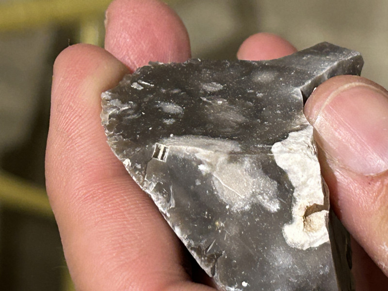 IMG_1963.jpeg (1.51 MiB) 1430 keer bekeken IMG_1963.jpeg