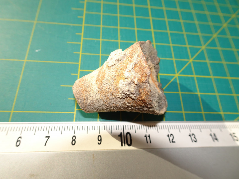 DSC06776.JPG (5.62 MiB) 970 keer bekeken DSC06776.JPG