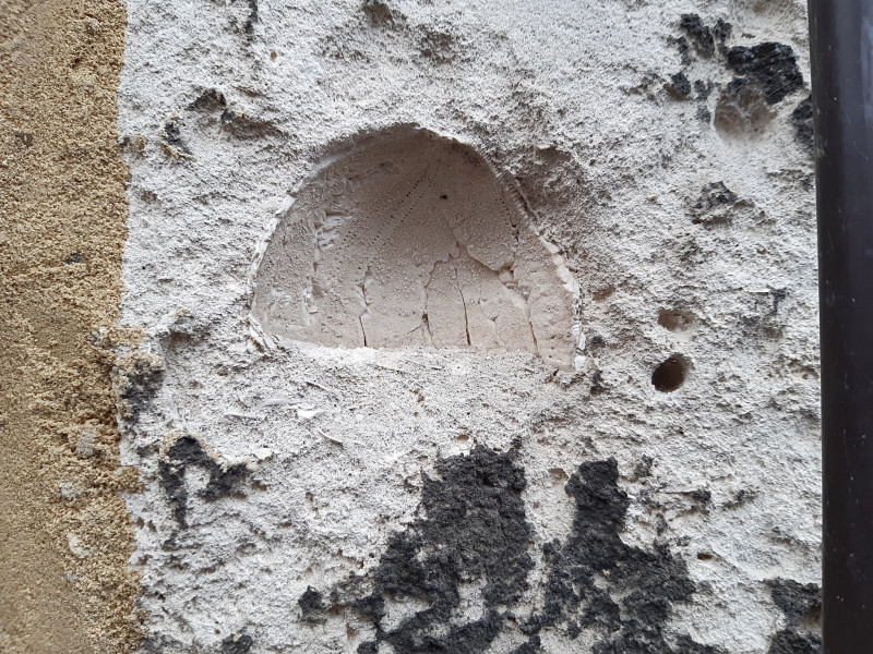 Afdruk zee egel in de muur.