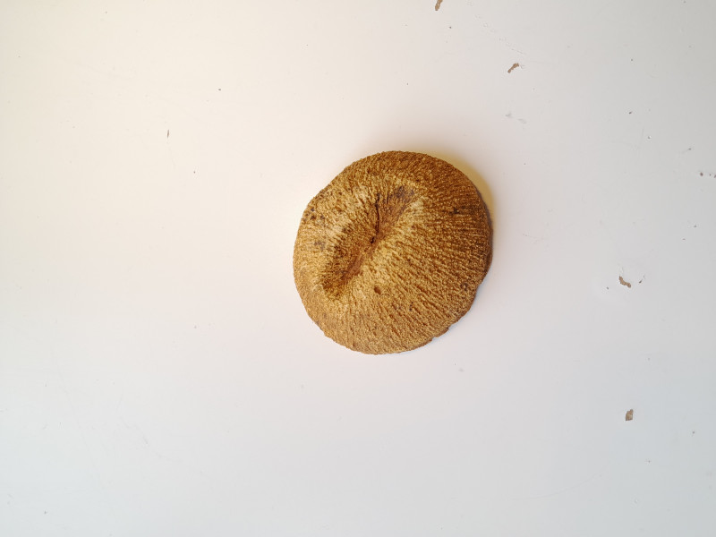 20240504_122951.jpg