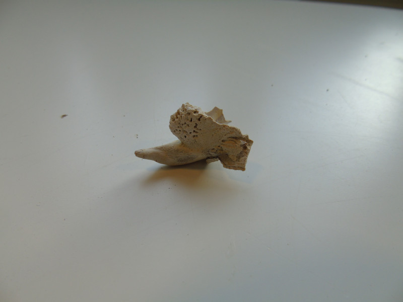 DSC02209.JPG