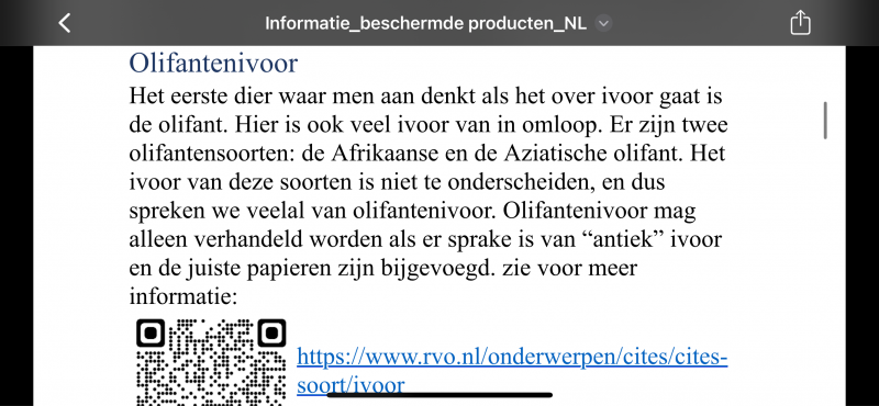 IMG_9872.png