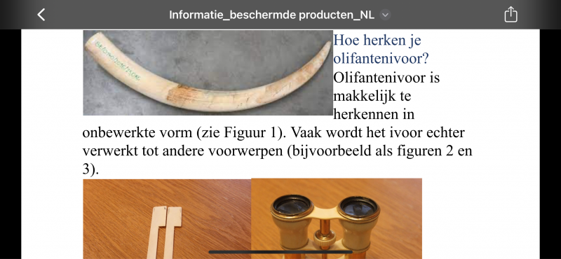 IMG_9873.png