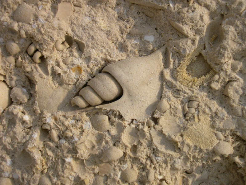 DSCN5863.JPG