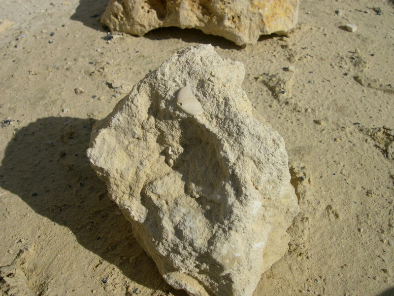 DSCN6045.jpg