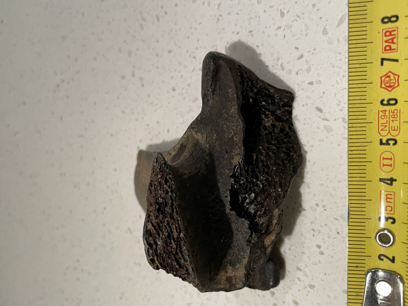 IMG_8546.jpeg (2.4 MiB) 1531 keer bekeken IMG_8546.jpeg