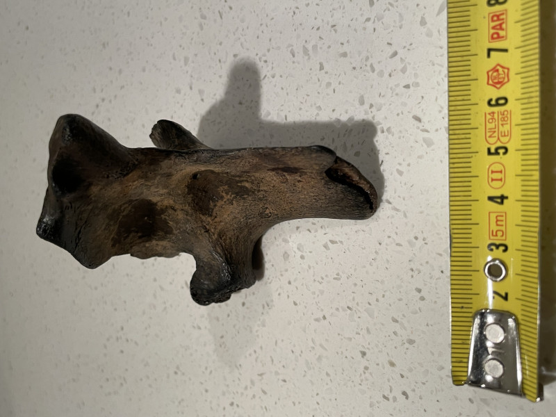 IMG_8547.jpeg (2.43 MiB) 1531 keer bekeken IMG_8547.jpeg