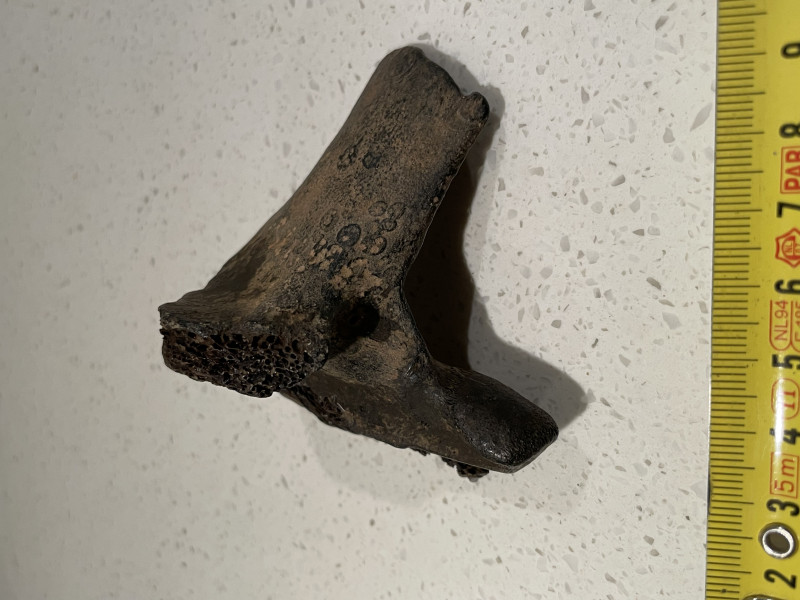 IMG_8549.jpeg (2.48 MiB) 1531 keer bekeken IMG_8549.jpeg