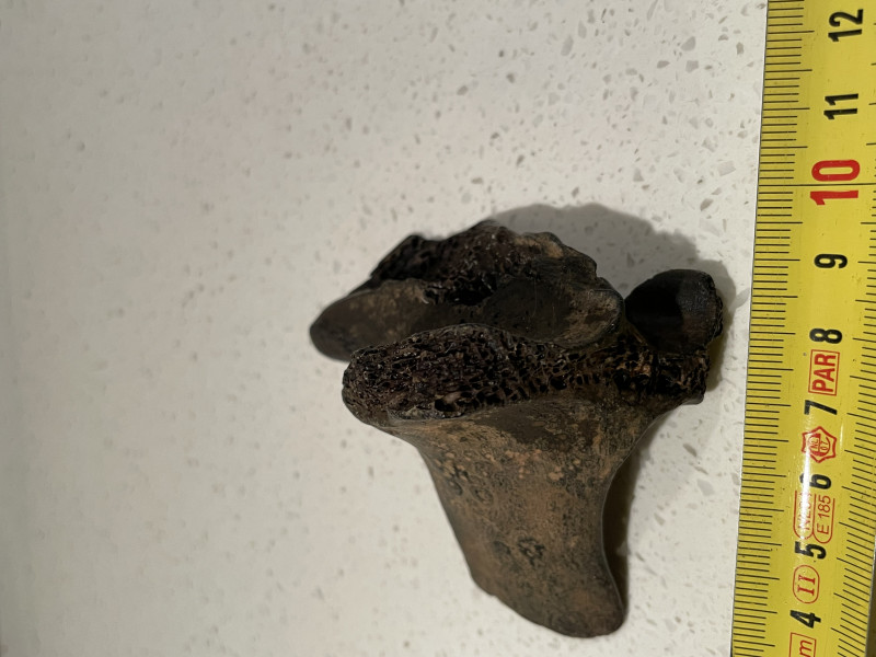 IMG_8550.jpeg (2.45 MiB) 1531 keer bekeken IMG_8550.jpeg