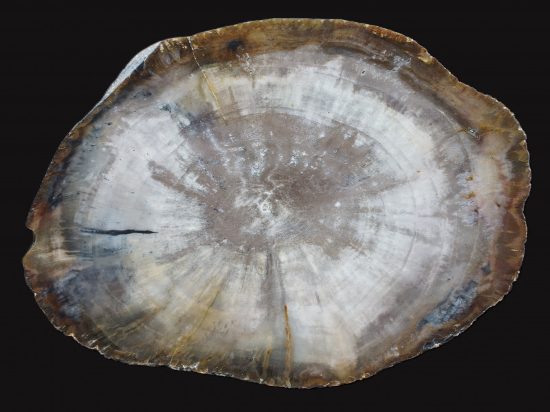 TKTW1226.JPG (1.61 MiB) 13077 keer bekeken TKTW1226.JPG