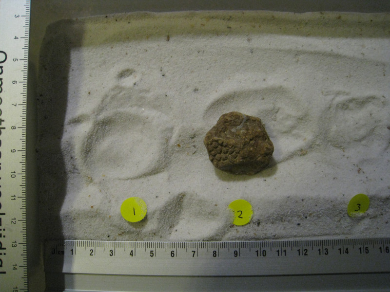 IMG_0478.jpeg (3.49 MiB) 1891 keer bekeken Ingezoomd bovenkant