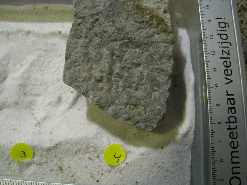 IMG_0485.jpeg (3.45 MiB) 1891 keer bekeken Nogmaals ingezoomd