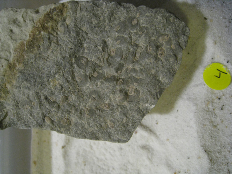 IMG_0486.jpeg (3.55 MiB) 1643 keer bekeken Ingezoomd