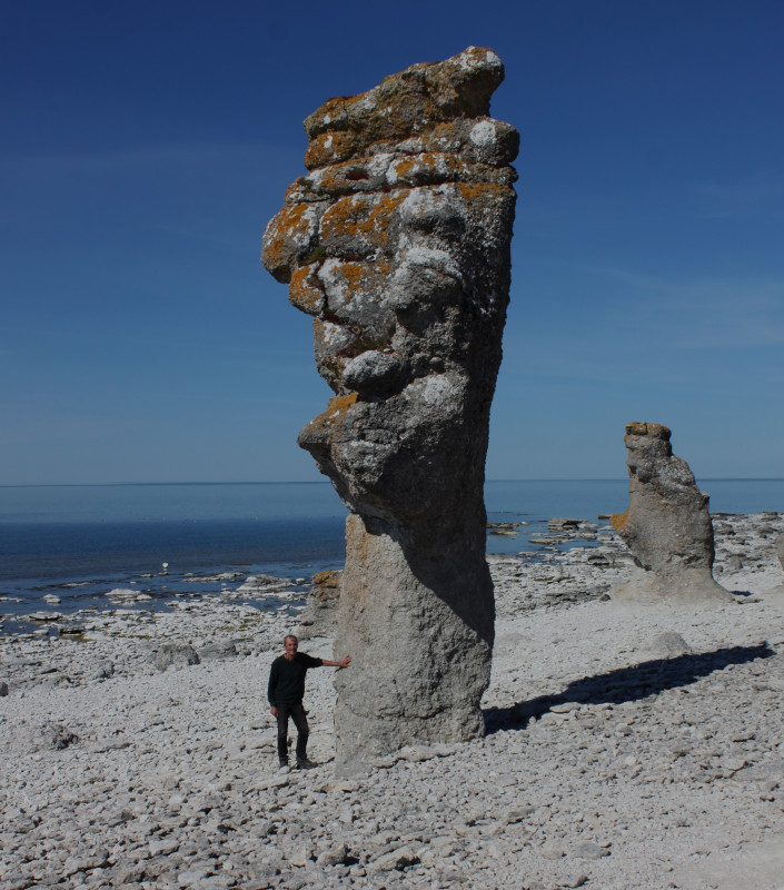 Gotland, Fårö 2024-05-13 15.17 Sromatoporenrif -Raukarveld Langhammars op.JPG