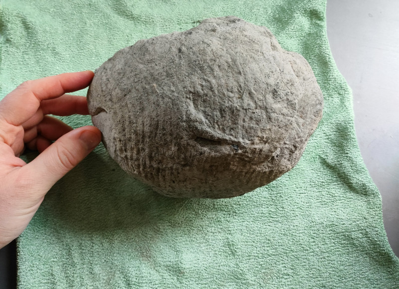 IMG20250108125958~2.jpg (2.25 MiB) 2809 keer bekeken IMG20250108125958~2.jpg