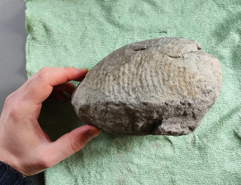 IMG20250108125947~2.jpg (2.08 MiB) 2484 keer bekeken IMG20250108125947~2.jpg