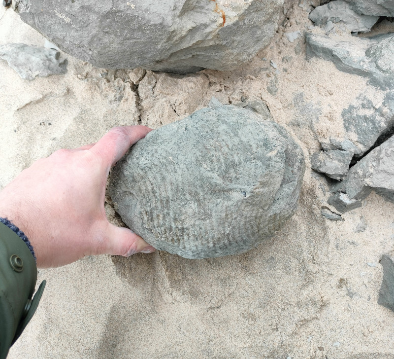 IMG20241230153029~2.jpg (3.07 MiB) 2377 keer bekeken IMG20241230153029~2.jpg