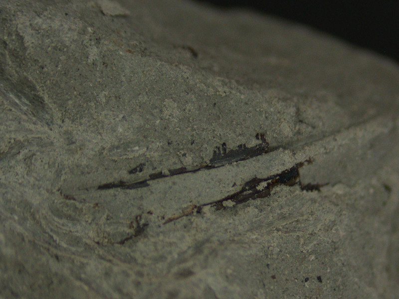 0B31D07D-D476-451C-BD64-C9728EF29D12.jpeg (183.98 KiB) 1604 keer bekeken 0B31D07D-D476-451C-BD64-C9728EF29D12.jpeg