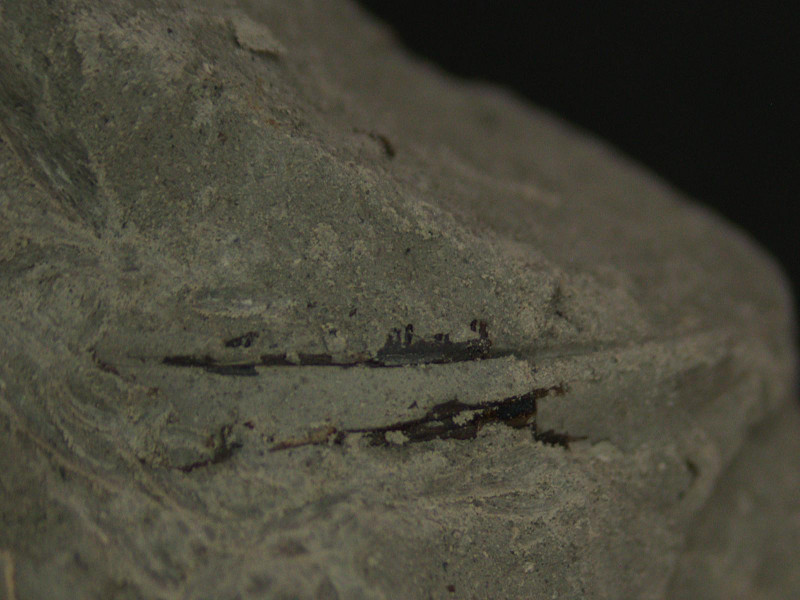 96B7CD3C-82D6-47D6-B894-B9DFE78F16E8.jpeg (167.74 KiB) 2339 keer bekeken 96B7CD3C-82D6-47D6-B894-B9DFE78F16E8.jpeg