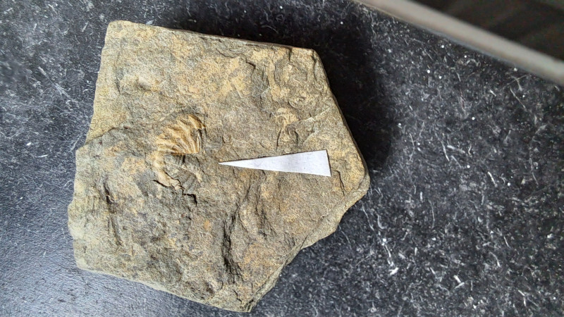 20250115_113525.jpg