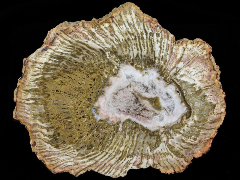 TKTW0587.jpg