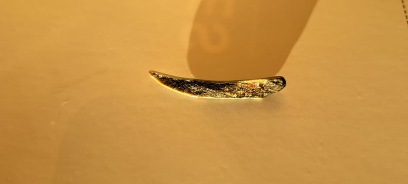 c7b0b6fd-56c4-4f16-a18c-b59cb73c31bd.jpeg (85.68 KiB) 8367 keer bekeken c7b0b6fd-56c4-4f16-a18c-b59cb73c31bd.jpeg