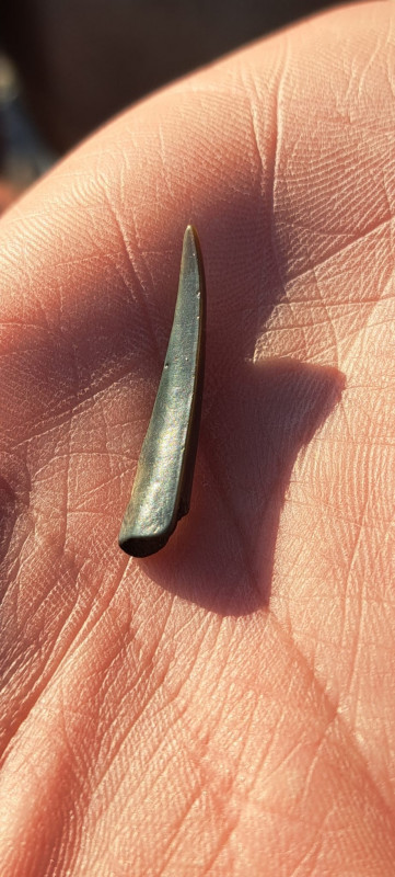 4d6c52fb-5f2e-4a0b-bd6a-a46cc5c3cad4.jpeg (358.64 KiB) 7420 keer bekeken 4d6c52fb-5f2e-4a0b-bd6a-a46cc5c3cad4.jpeg