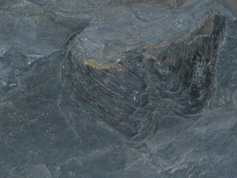 TKTW0894.JPG