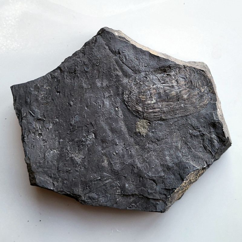 TKTW0900.jpg