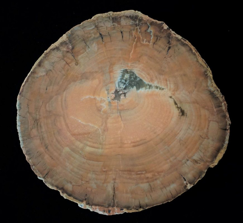 TKTW0926.JPG