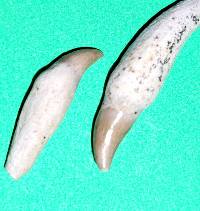 20250308_193009.jpg
