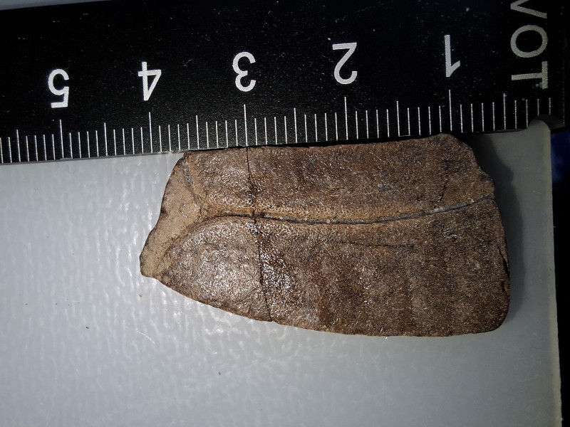 20250322_101328.jpg (2.06 MiB) 3580 keer bekeken 20250322_101328.jpg