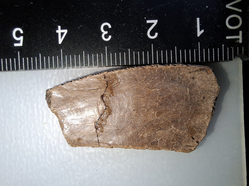 20250322_101359.jpg (2.05 MiB) 3581 keer bekeken 20250322_101359.jpg