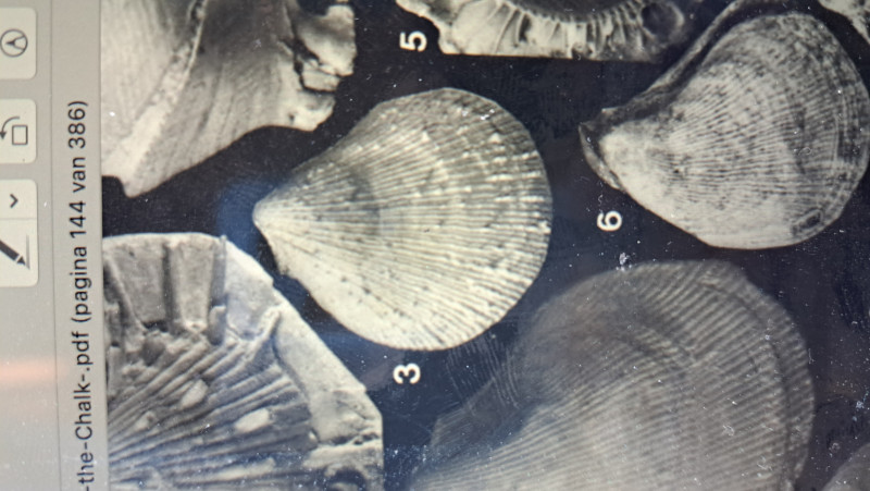 20250327_114635.jpg