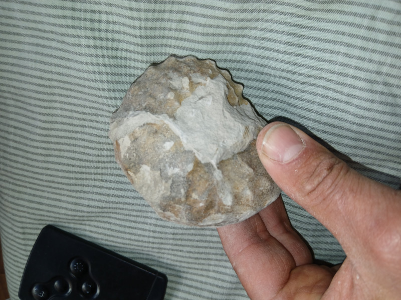 20250407_165259.jpg