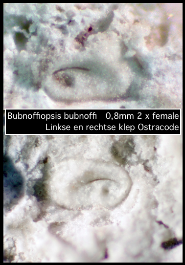 Schermafbeelding 2023-10-07 om 13.03.39 kopie 2.png