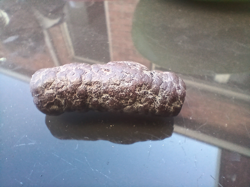 20250407_185449.jpg (847.45 KiB) 18708 keer bekeken 20250407_185449.jpg