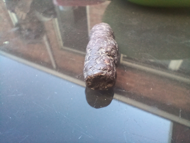 20250407_185452.jpg (841.37 KiB) 21751 keer bekeken 20250407_185452.jpg