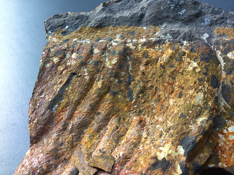 E7BC6474-8B9E-4881-890B-0D8032B35CF5.png