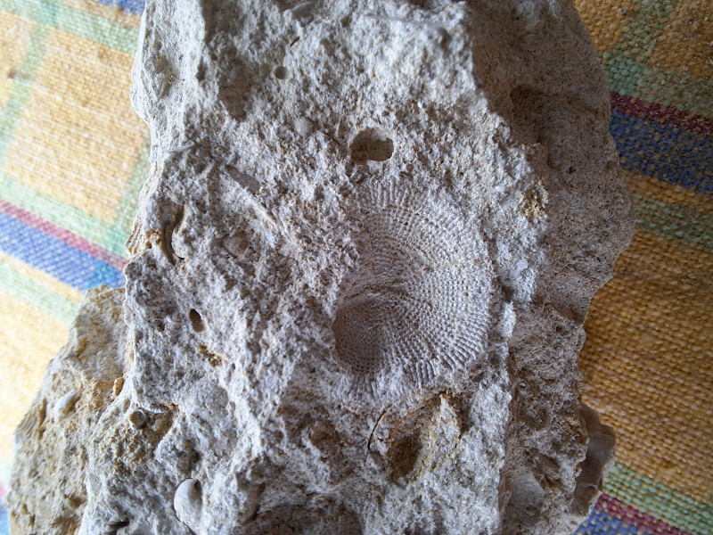 20250524_113240.jpg