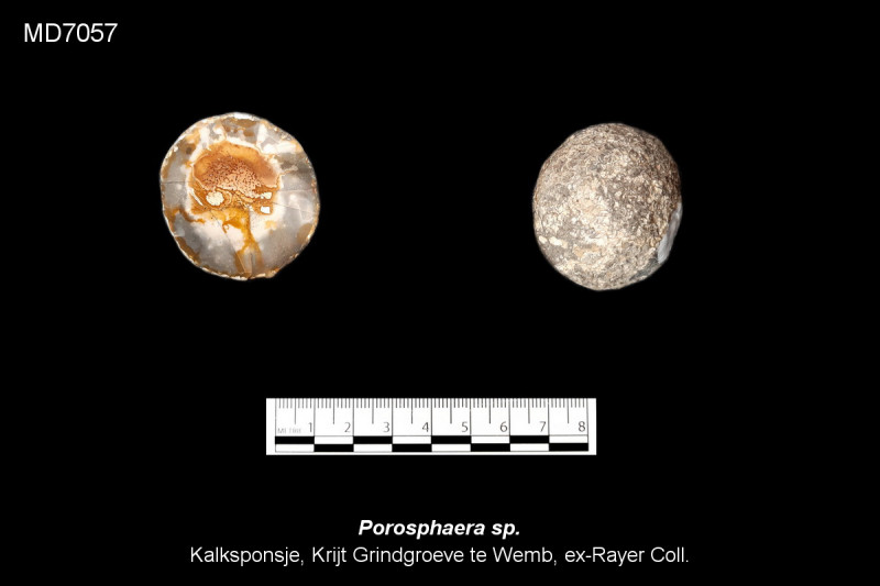 MD7057.jpg