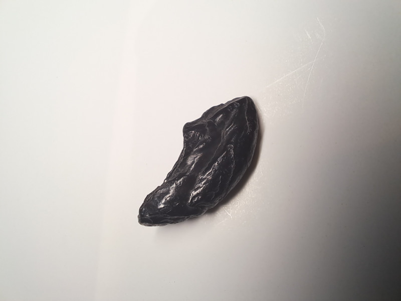 Fossil 2