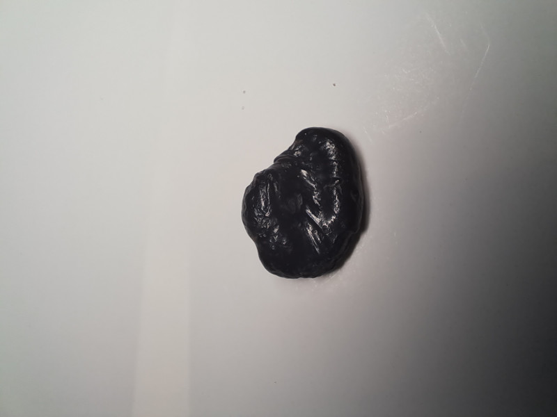 Fossil 1