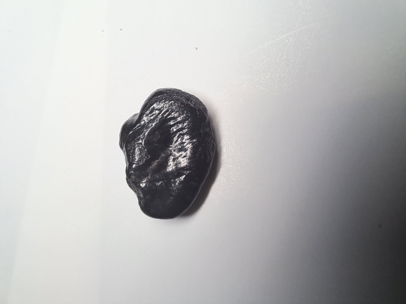 Fossil 1