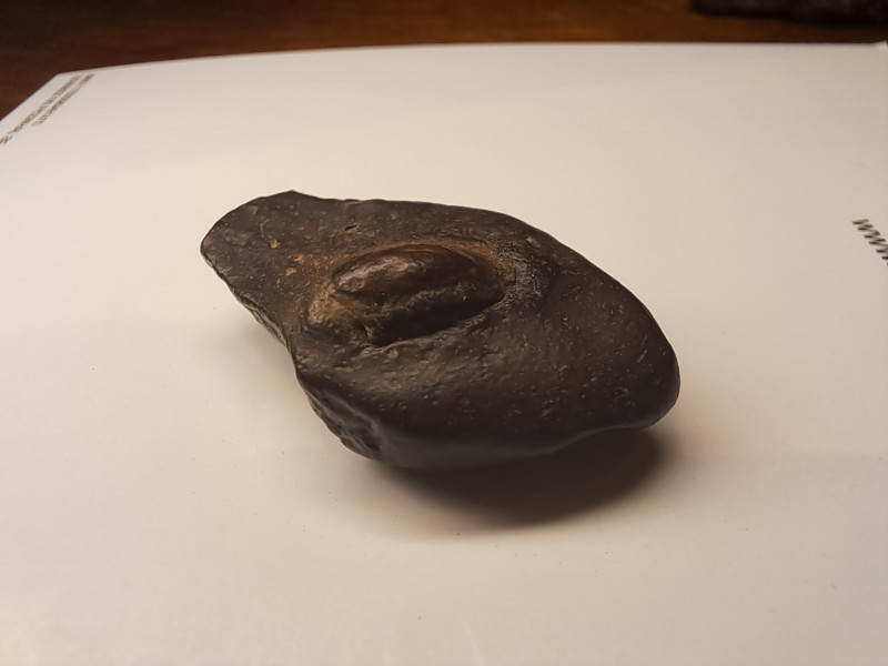 20250624_225220.jpg (1.04 MiB) 13722 keer bekeken 20250624_225220.jpg