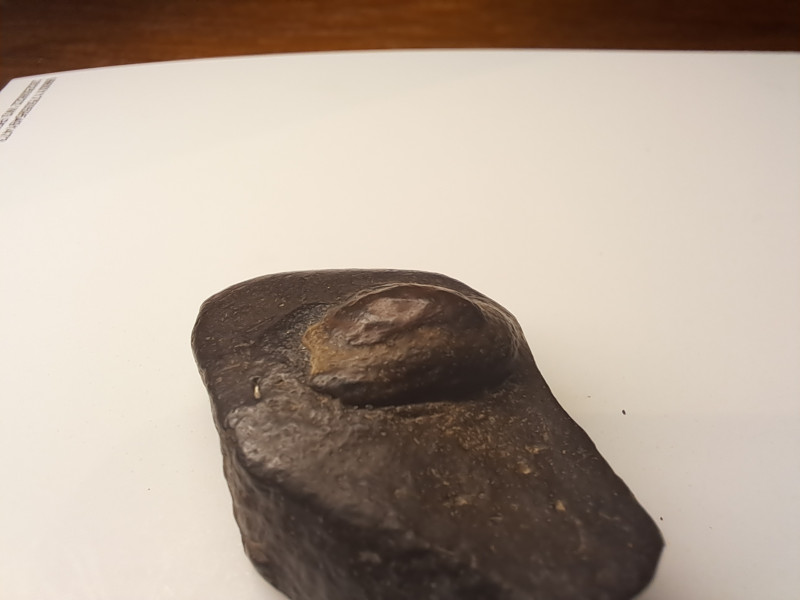 20250624_225248.jpg (767.6 KiB) 13722 keer bekeken 20250624_225248.jpg