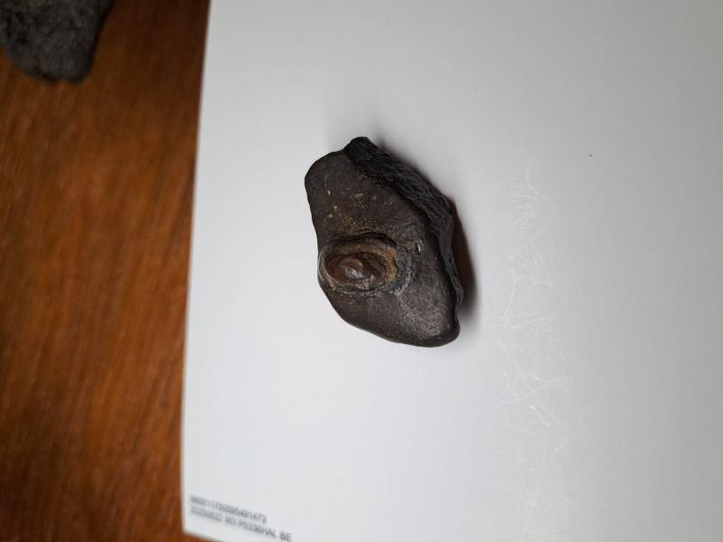 20250624_225415.jpg (2.06 MiB) 13722 keer bekeken 20250624_225415.jpg