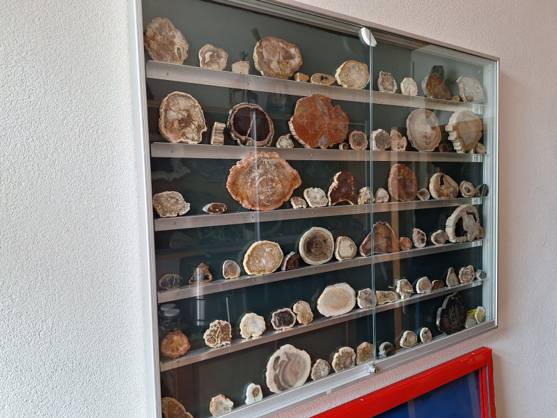 20250716_112552.jpg