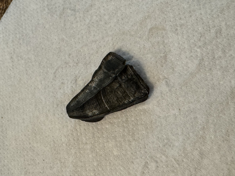 IMG_9246.jpeg (1.88 MiB) 467 keer bekeken IMG_9246.jpeg