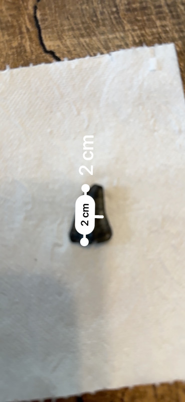 IMG_9243.jpeg (269.05 KiB) 467 keer bekeken IMG_9243.jpeg